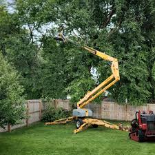 Best Storm Damage Tree Cleanup  in Key Center, WA